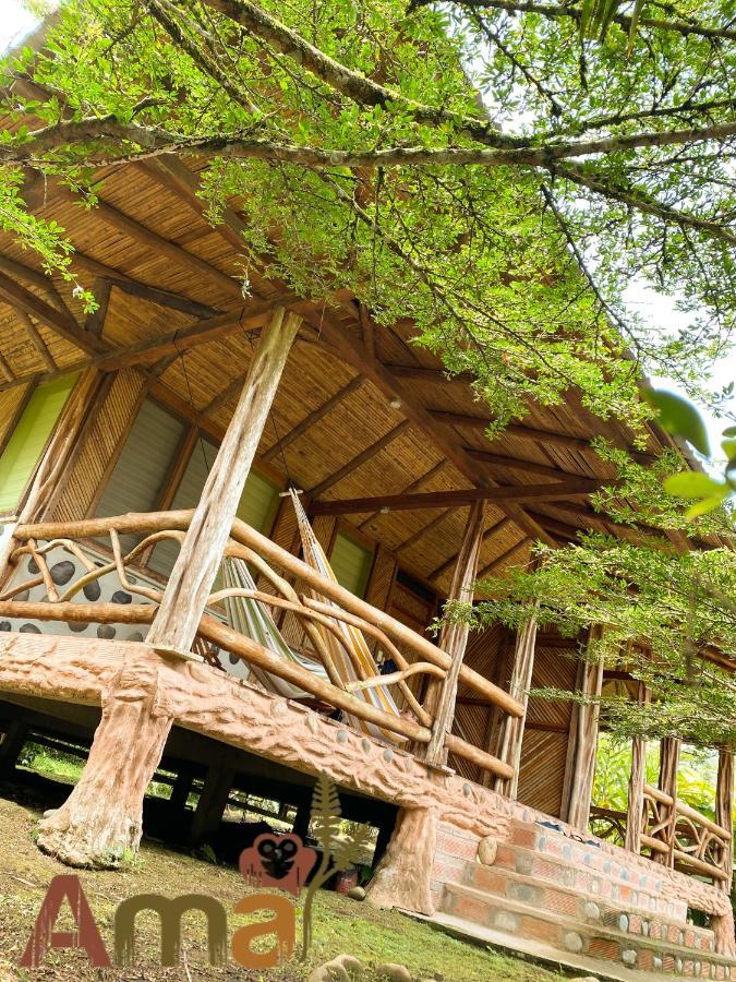 Ama Ecolodge Puerto Misahuallí Dış mekan fotoğraf