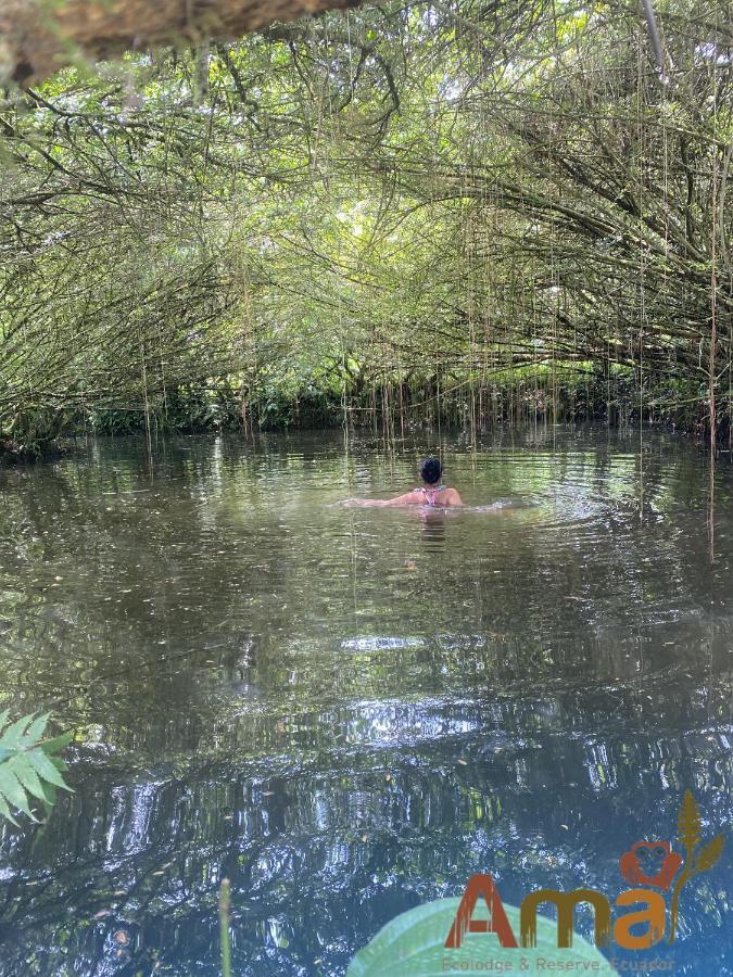 Ama Ecolodge Puerto Misahuallí Dış mekan fotoğraf