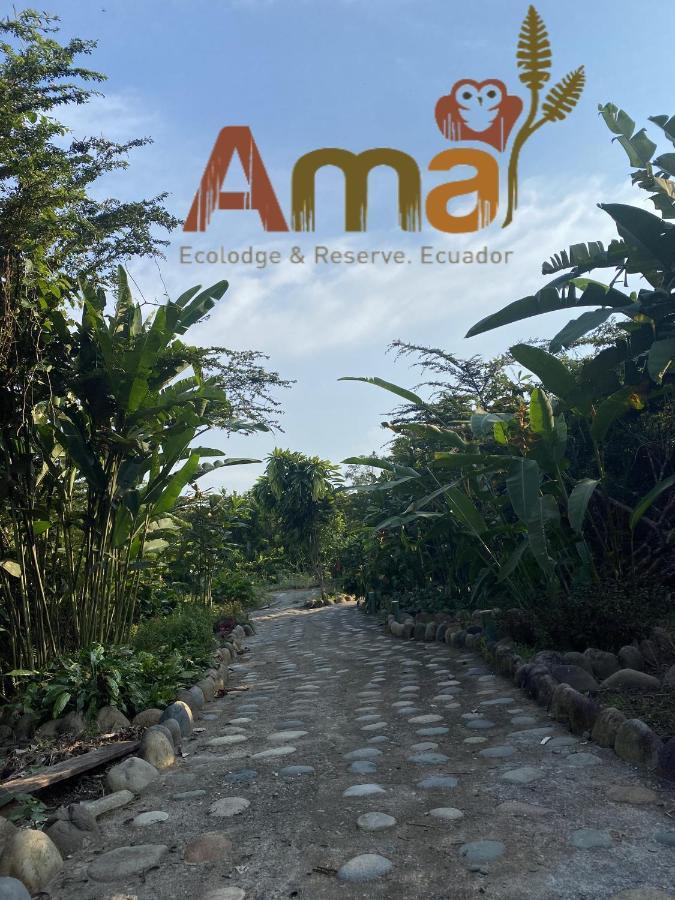 Ama Ecolodge Puerto Misahuallí Dış mekan fotoğraf