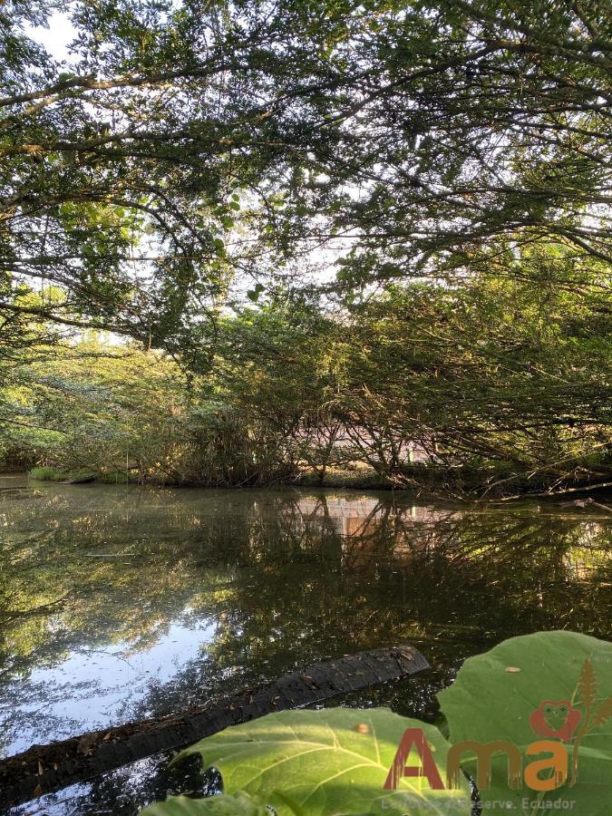 Ama Ecolodge Puerto Misahuallí Dış mekan fotoğraf